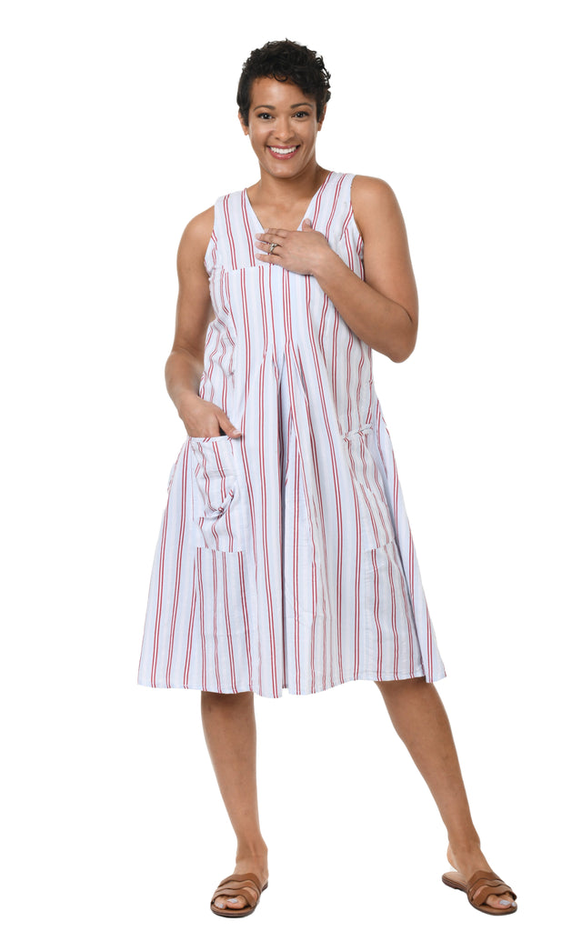 Poppie Dress in Whitman Stripe